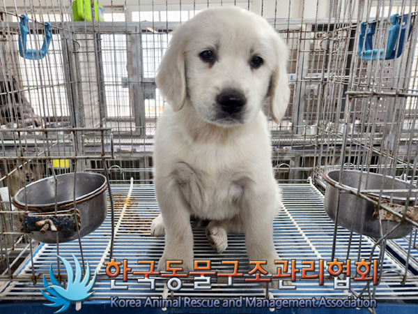 한국동물구조관리협회_441560202300370